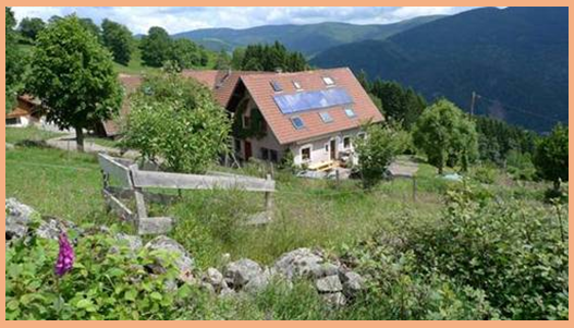 Juillet Séminaire en Alsace